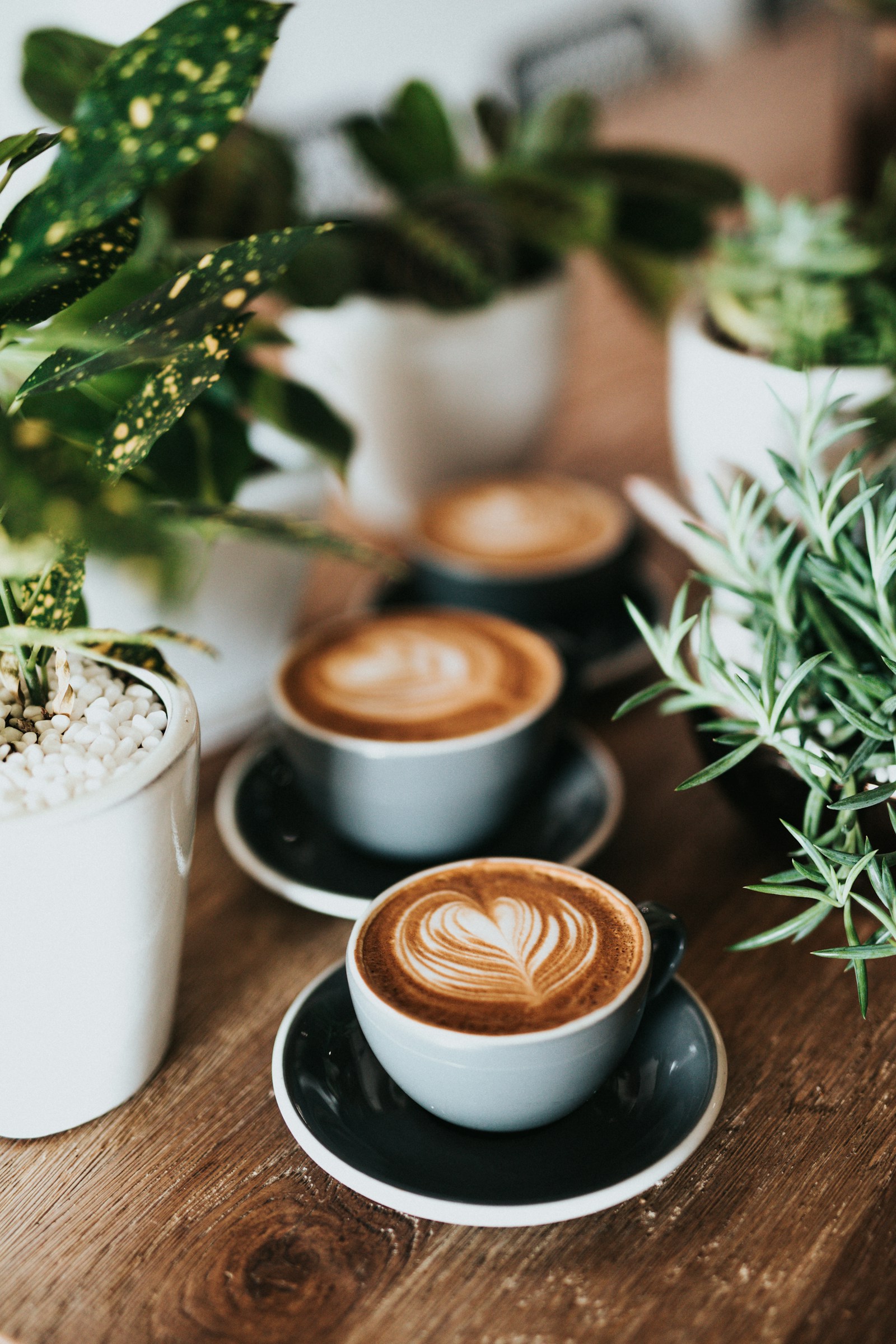 Illustrative cafe photograph, not this business
